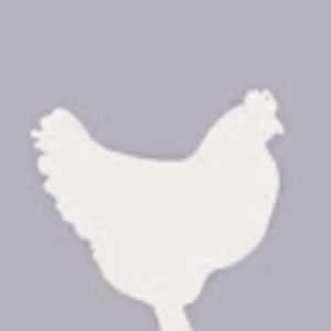 Meet your Posher, Jeff